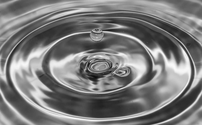 water droplet movement picture elegant monochrome closeup