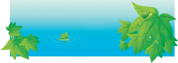 water drops green leaves vector
