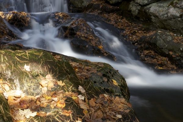 water leaves foliage autumn rocks