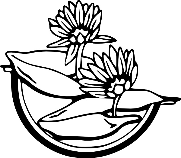Water Lily Clip Art Free Vector In Open Office Drawing Svg Svg Vector Illustration Graphic Art Design Format Format For Free Download 123 25kb