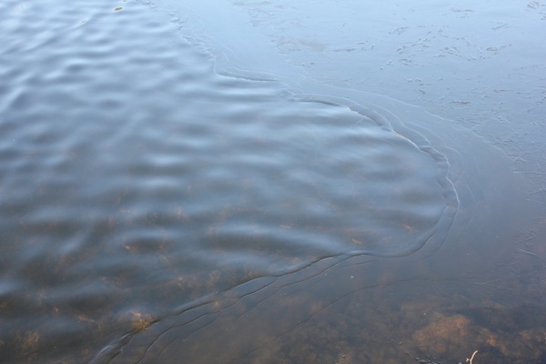 water surface border