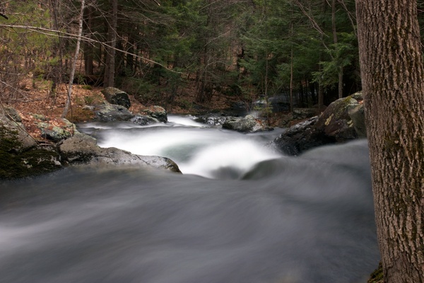 water trees rocks stream 