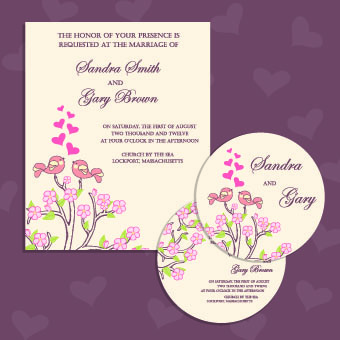 wedding invitation with dvd kit design vector