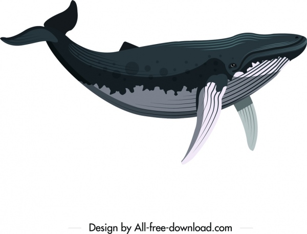 whale animal icon colored cartoon sketch