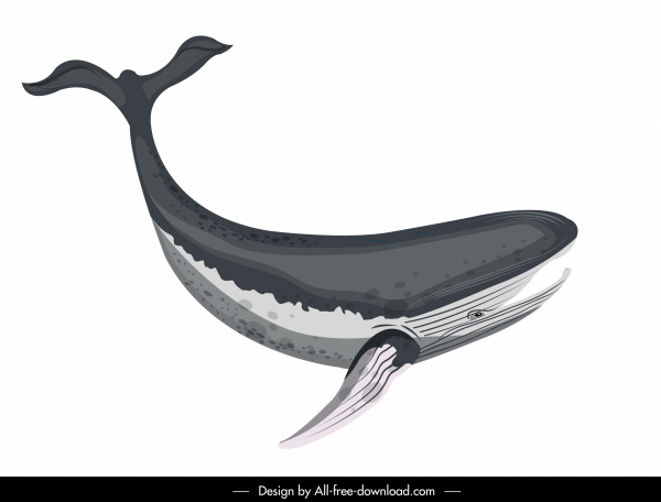 whale icon swimming sketch black white design