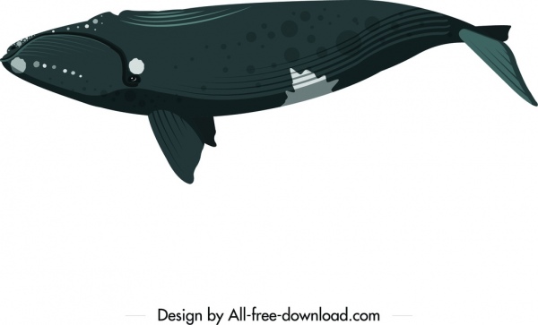 whale icon upside down swimming sketch