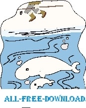 Whales Beluga