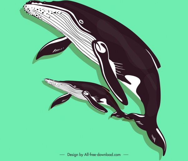 whales painting colored classical sketch