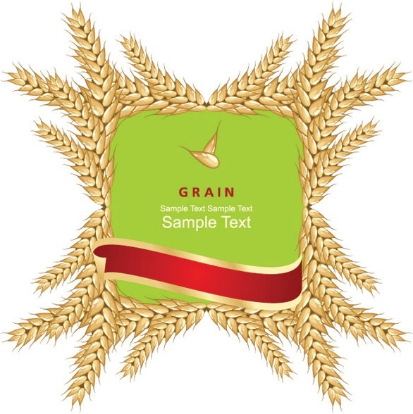 wheat and label 01 vector