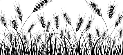 Wheat silhouettes vector material 