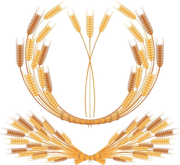 wheat wreath template bright shiny yellow design