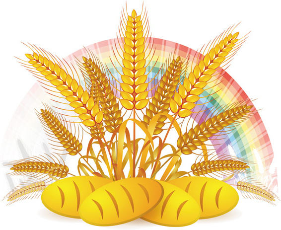 wheat with bread vector