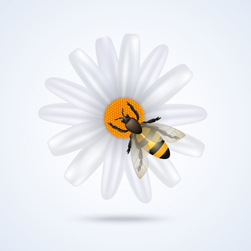 Bee free vector download (371 Free vector) for commercial use. format