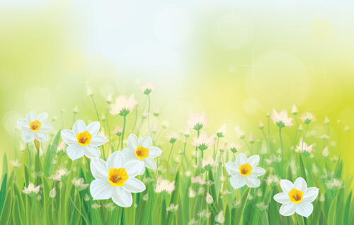 white flowers spring beautiful background vector