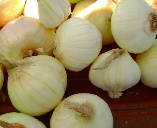 white onions 5