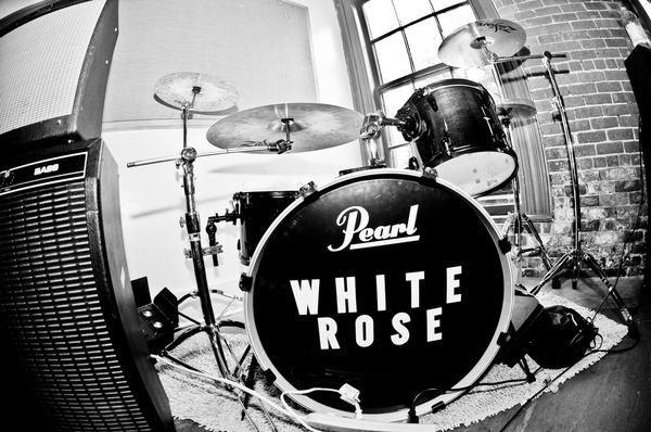 white rose 11