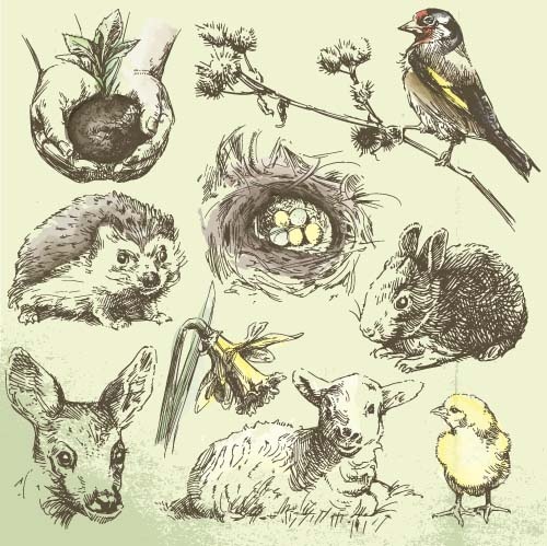 Line wild animal drawings free vector download (106,141 Free vector
