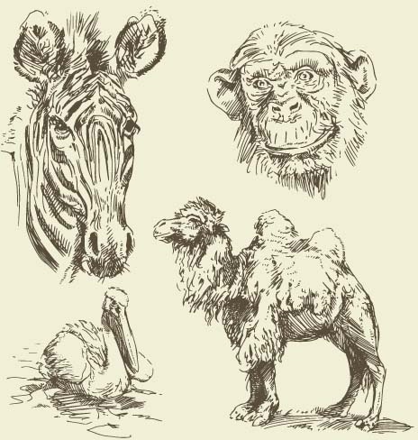 Animal line drawings free vector download (106,318 Free vector) for