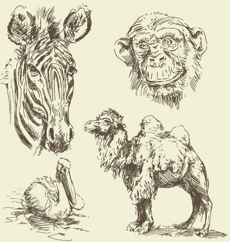 wild animals hand drawing vectors set