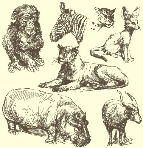 Wild animals hand drawing vectors set Vectors graphic art designs in  editable .ai .eps .svg format free and easy download unlimit id:587724