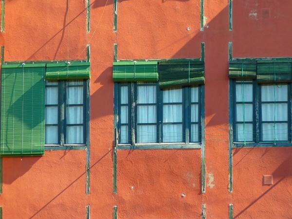 window blinds green