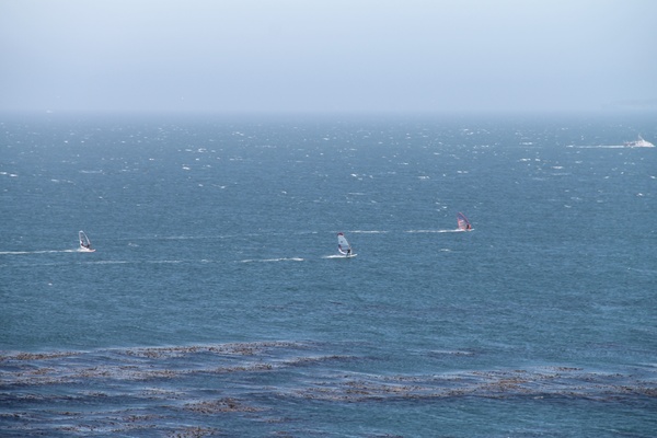 windsurfers on ocean 
