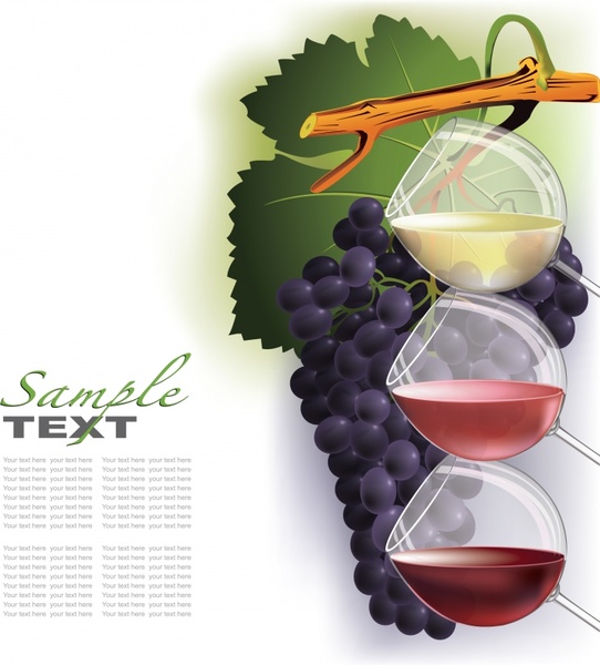 wine menu background grapes glass decor colorful modern