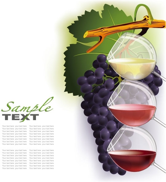 wine and grapes vector