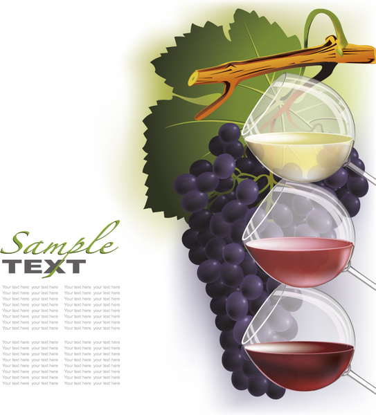 wine design elements vector