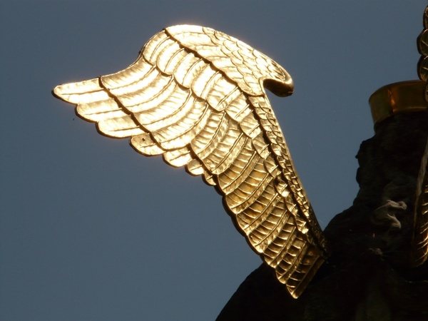 wing angel gold