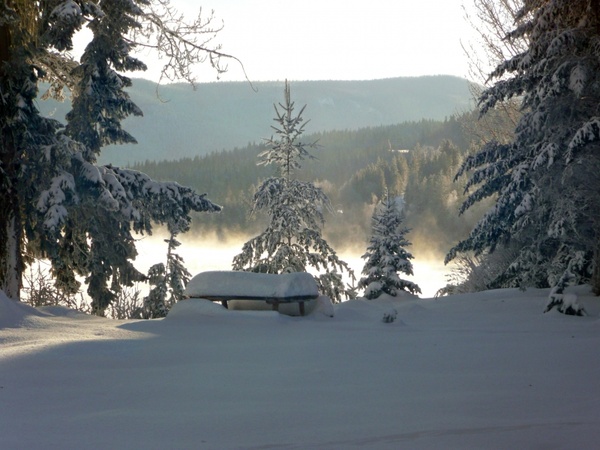 winter dream canim lake