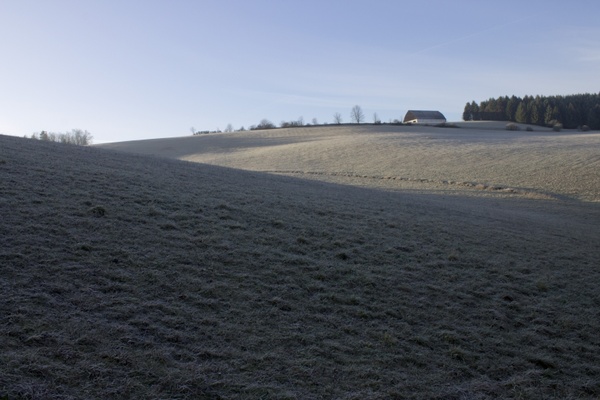 winter frost landscape