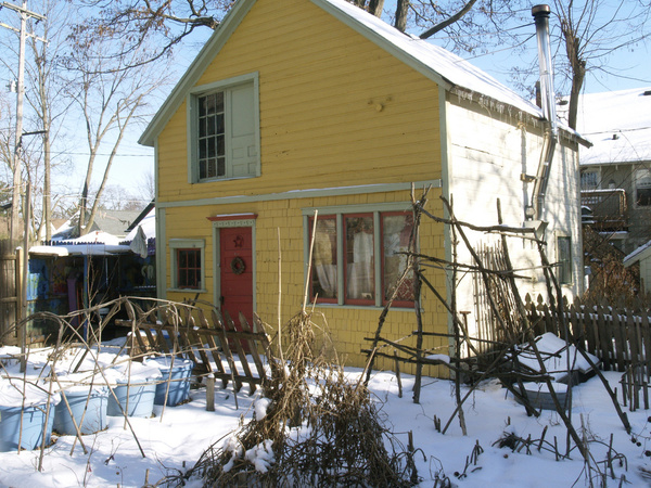 winter garden 