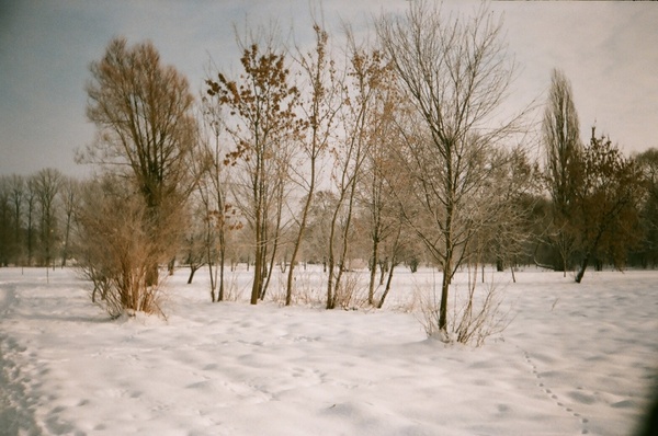 winter image lublin