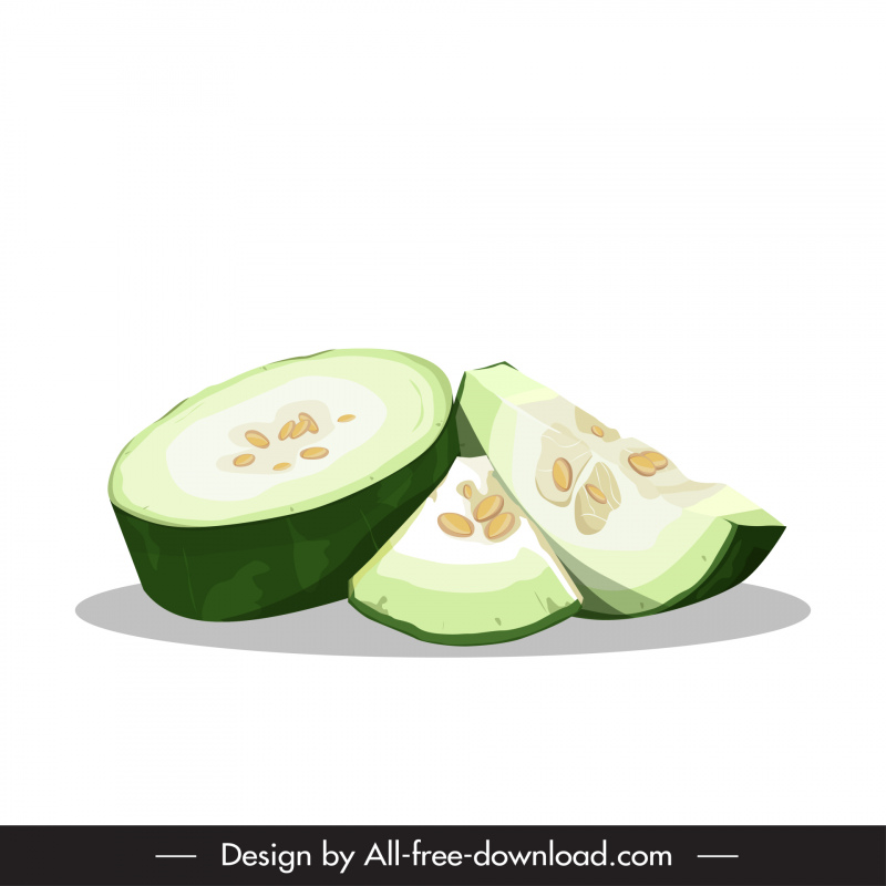 winter melon slices icon classical handdrawn outline 