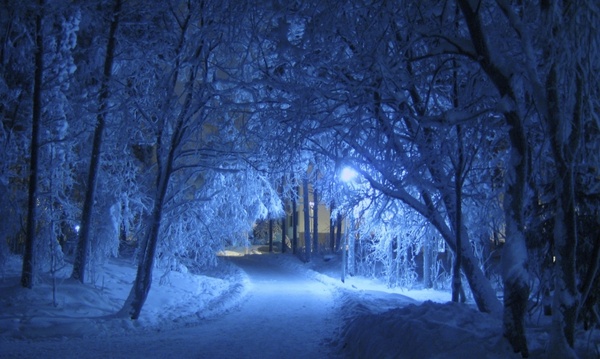 winter night blue
