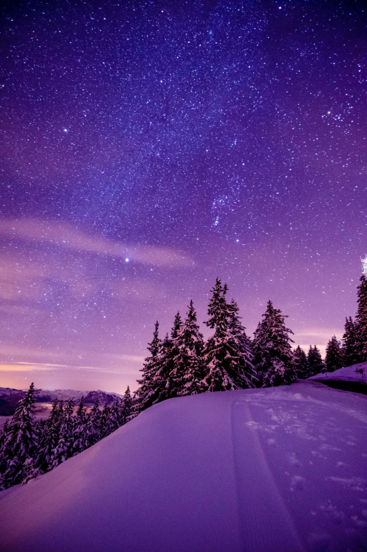 winter scene picture sparkling starry night 