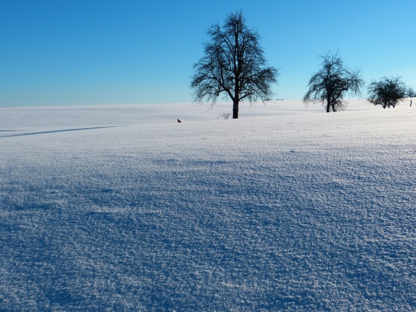 winter snow landscape 