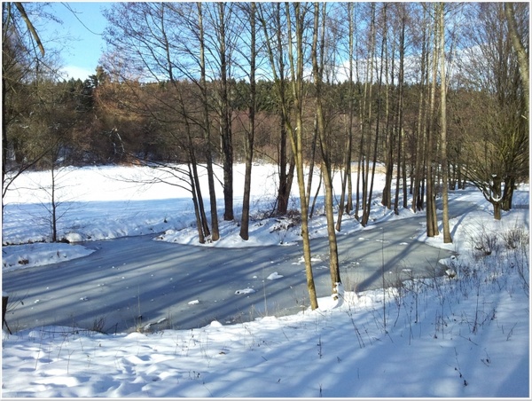 winter snow landscape