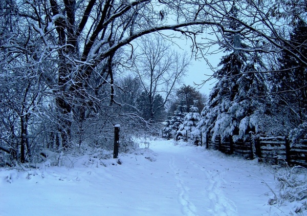winter snow path