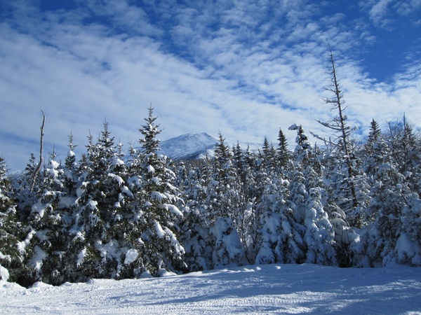 winter snow trees mountains clouds trail