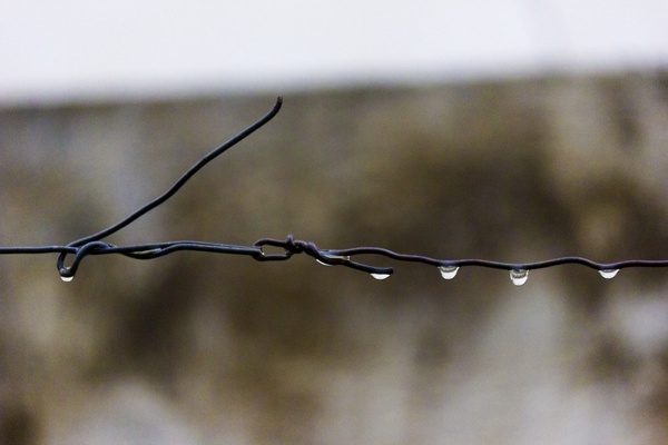 wire drops rain