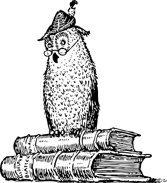 Wise Owl On Books clip art