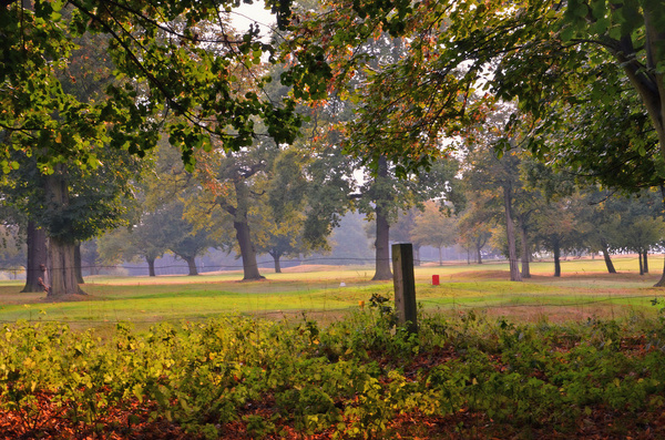 wollaton park 