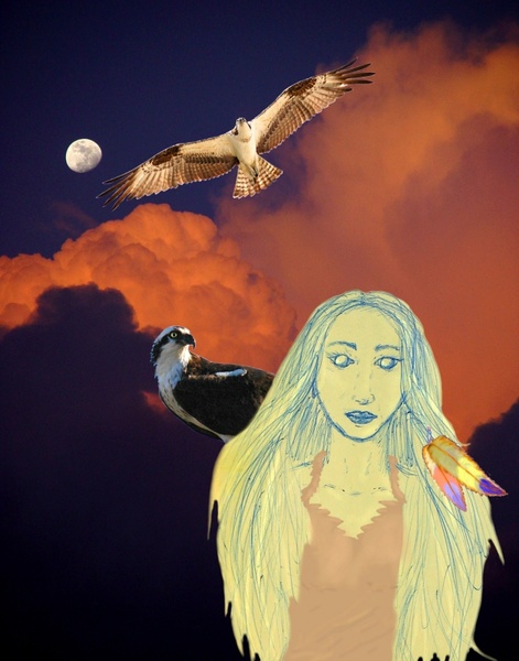 woman with hawks