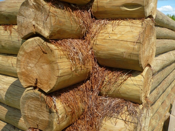 wood log logs