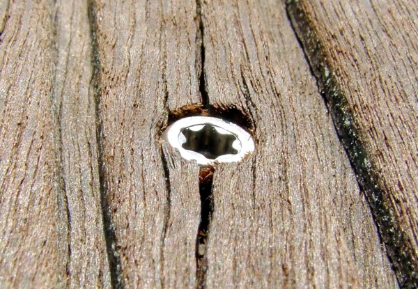 wood screw brown 