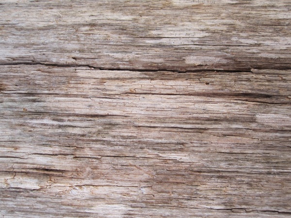 Wood texture photos free download 5,744 .jpg files