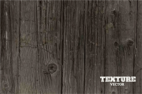 wood texture grunge style background vector