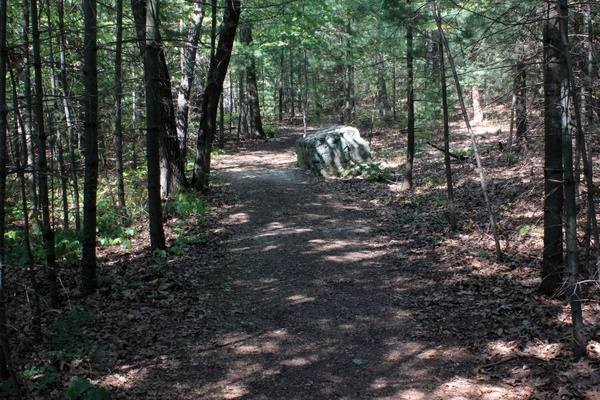 wooded walkway at mill bluff state park wisconsin 
